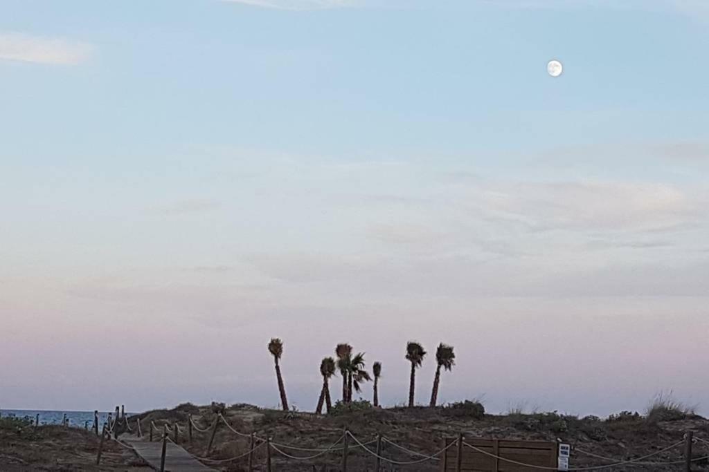 卡耐特蒂贝兰格Vacaciones Canet Playa公寓 外观 照片
